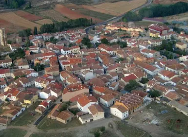 Alustante
