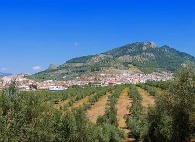 Orcera
