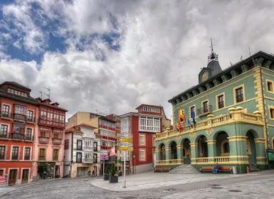 Tineo