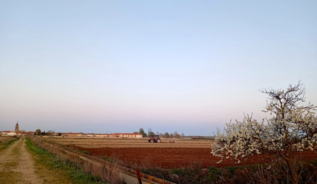 Fresno de la Vega
